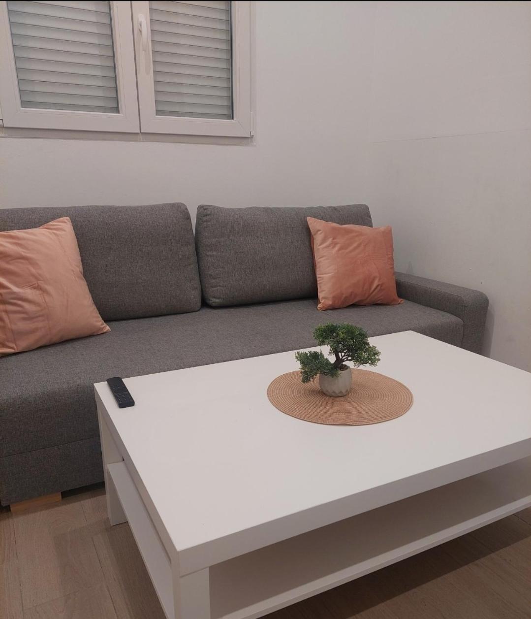 Cactus22 Daire Alicante Dış mekan fotoğraf